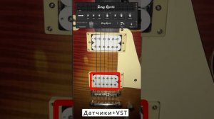 Set pickups Fleor M00168-1-2