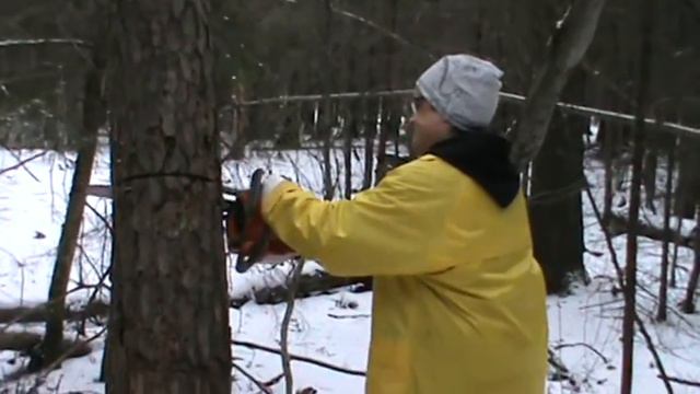 в лесу Репкино устье.№2 смотреть онлайн