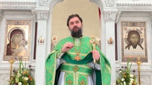 Проповедь в День Святого Духа. Протоиерей  Андрей Ткачёв.
