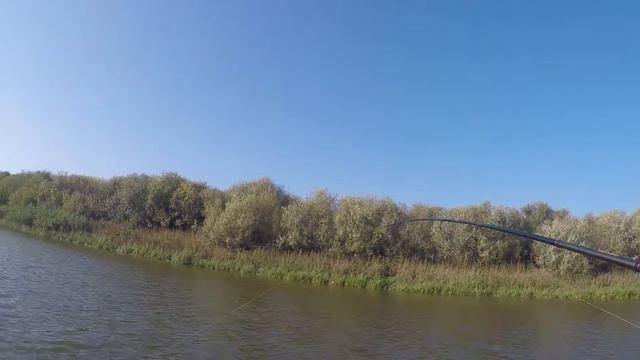 Щука 4,650 на BlackHole Bassmania 662M смотреть онлайн