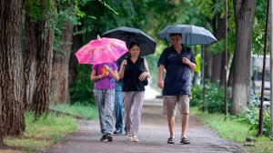 Дожди пришли в Казахстан, жара не отпускает Беларусь. Погода в СНГ