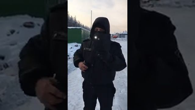 Шиес 5 января 2019 отказ предоставить удостоверение охранника смотреть онлайн