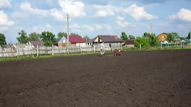 Мотоблок Беларус 09н с бороной. смотреть онлайн