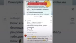 Девушка запихала в машину волка, думала что собака.