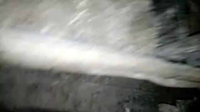 Ломан Браун кол-во яиц в 7месяцев смотреть онлайн