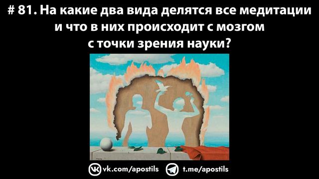 # 81. На какие два вида делятся все медитации и что в них происходит с мозгом с точки зрения науки? смотреть онлайн