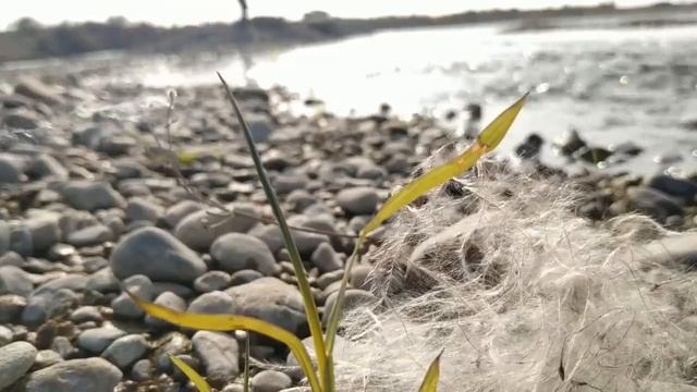 Tushda suv ko'rsa nima bo'ladi tush tabiri смотреть онлайн