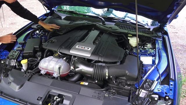 The Best Engines - 2018 Ford Mustang GT 5.0L V8 смотреть онлайн