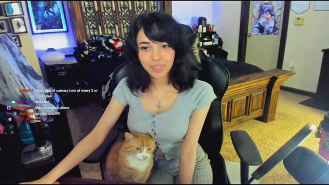 Legendary Cat Clip смотреть онлайн