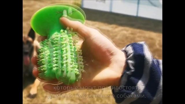 Зубная щетка для собак Кактус, Молярная игрушка, Всасывающая игрушка, Молярная палочка смотреть онлайн