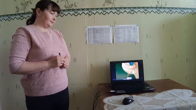 Урок химии по теме: "Кислоты" в 8 классе МБОУ "Дракинская СОШ" смотреть онлайн