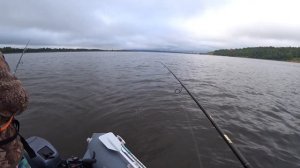 Отдых с палатками на Волге!Рыб есть, просто ему  лень!