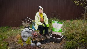 Кислый торф. Кому подходит и как использовать.