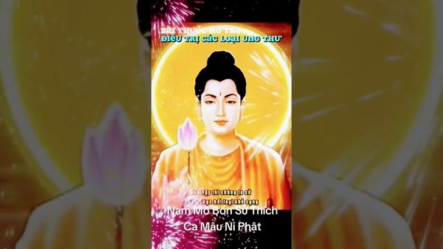 Phước báu mỗi ngày cho Bạn khi xem Om mani padme hum music Phật pháp nhiệm mầu#buddha#adidaphat смотреть онлайн