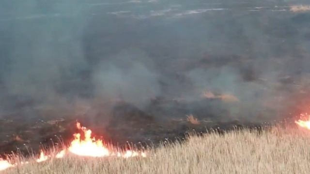 остановись не поджигай.mp4 смотреть онлайн