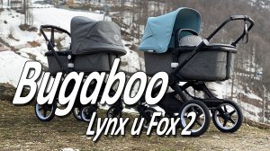 Bugaboo Fox 2 и Lynx - Сравнительный обзор от Boan Baby