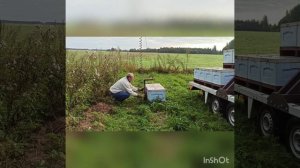 Качевка с применением крана манипулятора для погрузки ульев.