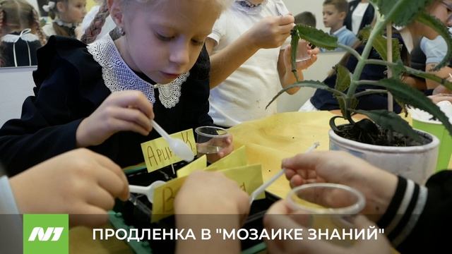 ПРОДЛЕНКА В "МОЗАИКЕ ЗНАНИЙ" смотреть онлайн