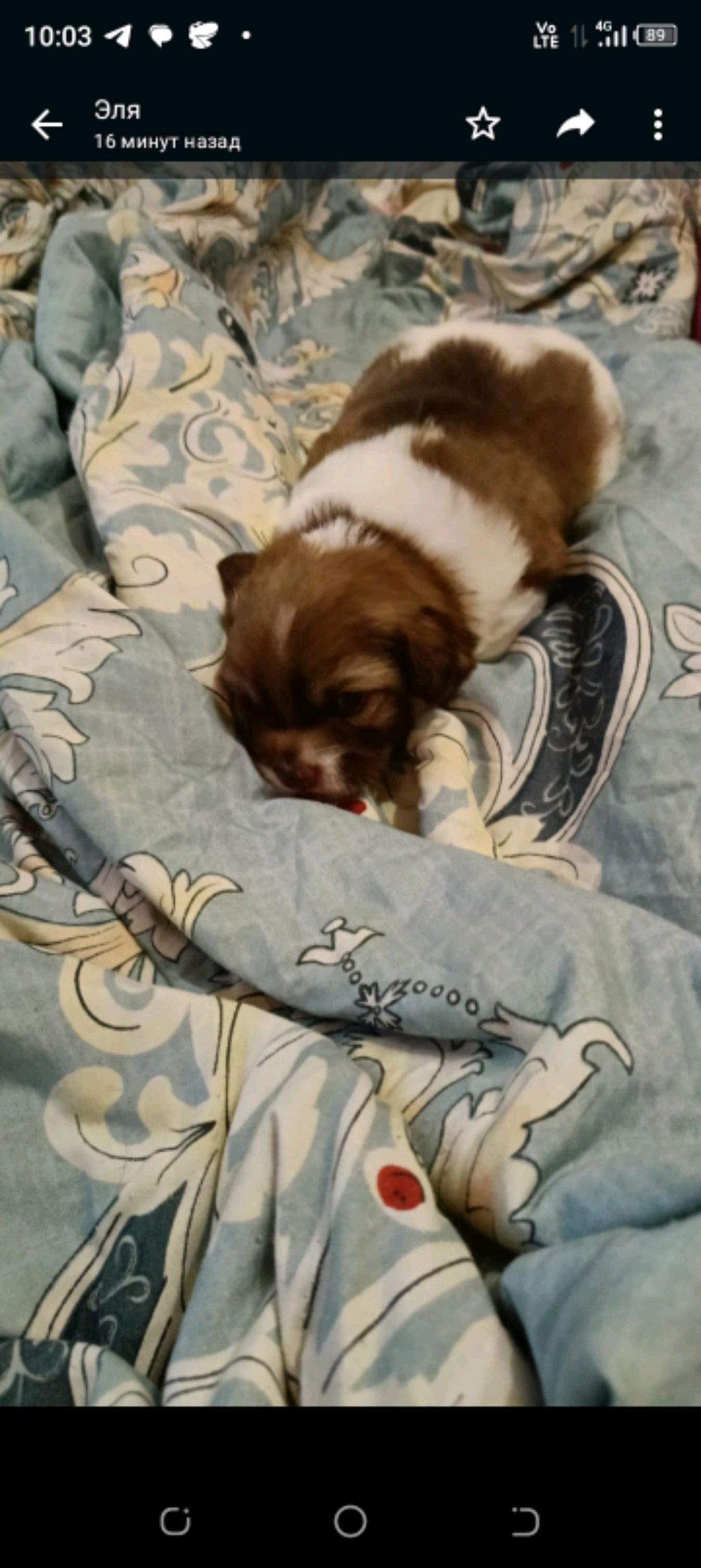 выполняю задания от подпишиков приходите