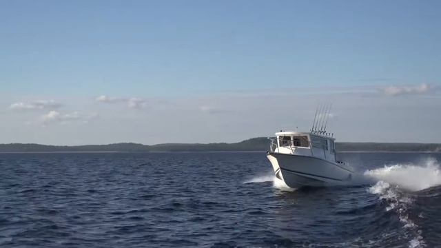 Катер для рыбалки и отдыха Alaskan Ranger 860 | Катер из США смотреть онлайн