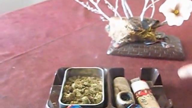 Gorilla Grow this flower arrangement смотреть онлайн