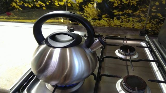 Как свистит чайник Endever