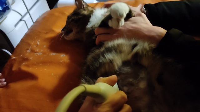 20 января 2024 г. смотреть онлайн