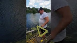 Мега крутая Донная коса , уборка водорослей, топовая Коса ,уничтожитель водорослей и камыша