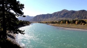 Оздоровление нервно мозгового аппарата зрения Для мужчин Настрои академика Сытина Г.Н.