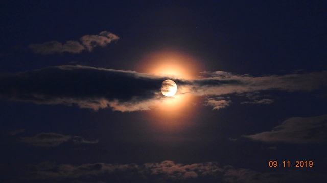 THE ORACLE REPORT | Full Moon in Pisces 2019 - "Prepare for Incoming Loveliness" смотреть онлайн