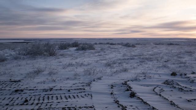 The road to Tuktoyaktuk смотреть онлайн