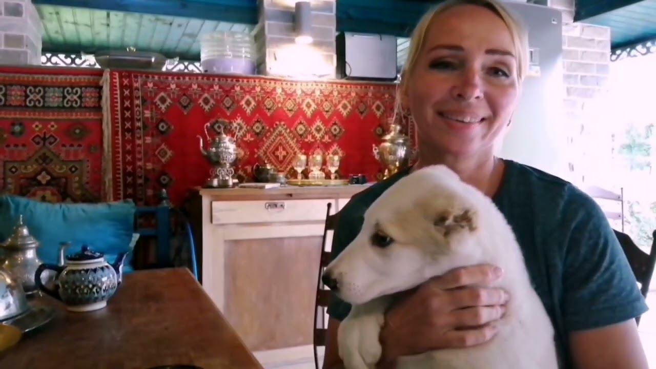 О важности купания собак смотреть онлайн