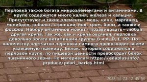 Пшено, хлеб или перловка, чем лучше подкармливать голубей.mp4