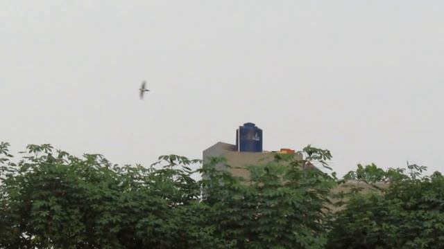Canon SX410IS Zoom Test смотреть онлайн