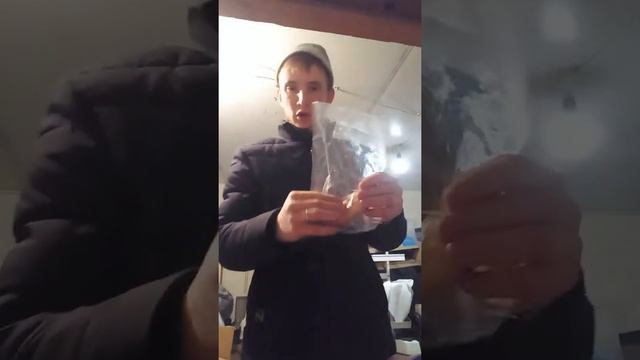 Как травят людей офис сцелковского 11 смотреть онлайн