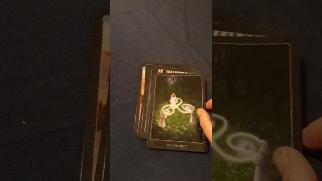 Earth Wisdom Oracle cards смотреть онлайн