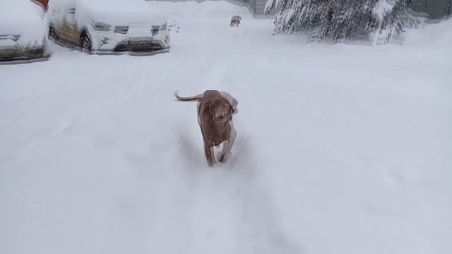 Много снега смотреть онлайн