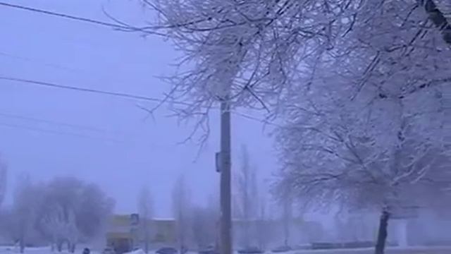 Черное на белом. Стая ворон на снегу. смотреть онлайн