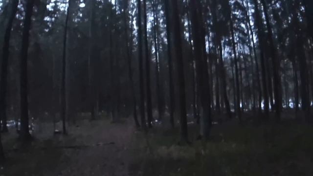 Пред новогодняя охота на зайца 30 12 2017 с гончими. смотреть онлайн