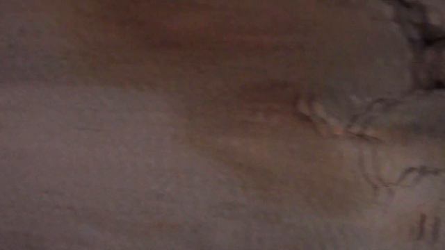 Автомобиль стримера Tovarishch Gamer