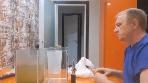 Амано. часть 1-я. Готовим тетраселмис, от А до Я