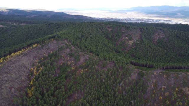 Кварталовский-travel