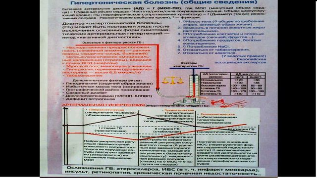 Arterial gipertoniya patofiziologiyasi videomaruza 21 смотреть онлайн