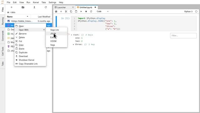 JupyterLab JSON rendering смотреть онлайн