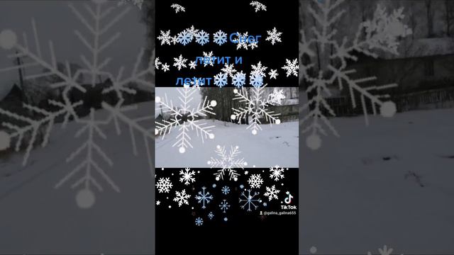 СНЕГ ЛЕТИТ И ЛЕТИТ🌨️❄️🌨️❄️🌨️Пётр и Галина Кудравец. смотреть онлайн