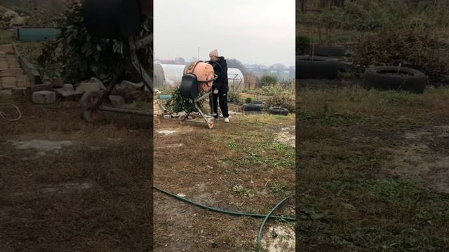 Дорожка из старого кирпича Начало. смотреть онлайн