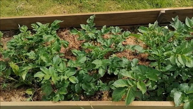 Огород на целине ПРОСТО смотреть онлайн