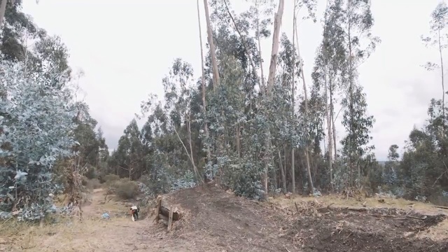 Колумбийский даунхил смотреть онлайн