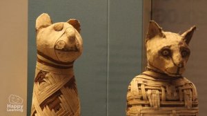 FUN FACTS ABOUT ANCIENT EGYPT  | Educational Videos for Kids