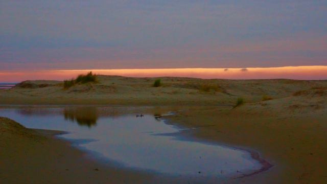 Borkum 2020 - Eine Fotoreise durch die Dünen смотреть онлайн